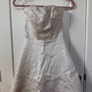 Express Shimmering Silver Strapless Dress